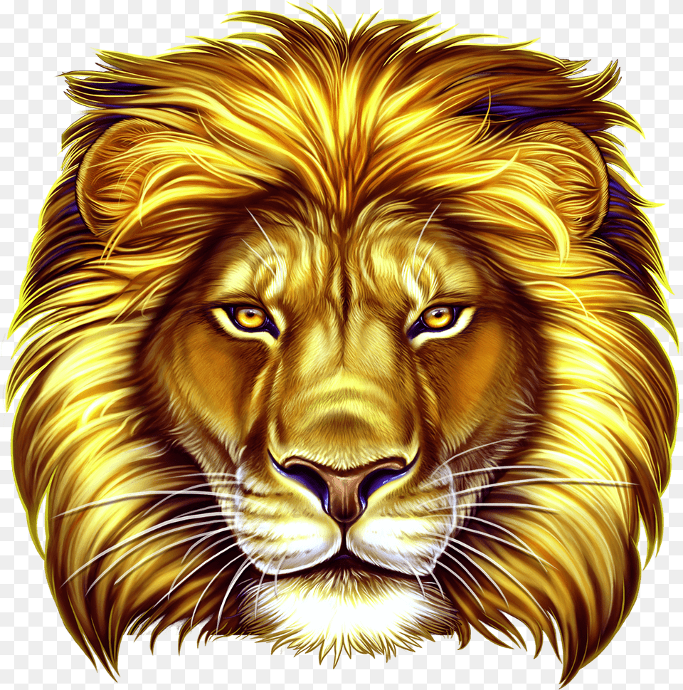 Lion Slot, Animal, Mammal, Wildlife Free Png