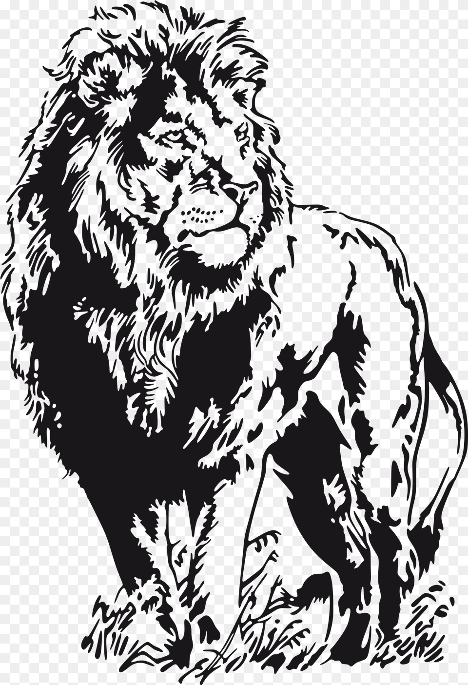 Lion Stencil, Animal, Mammal, Wildlife, Adult Free Png