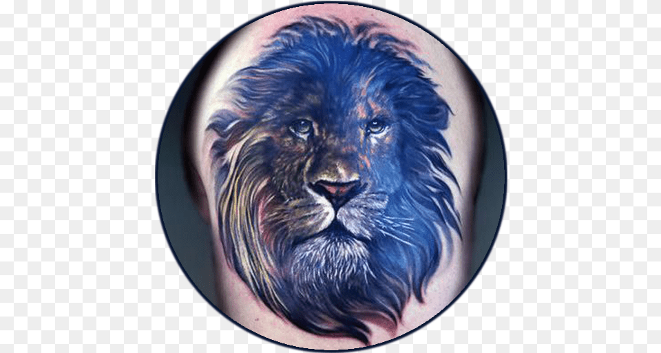 Lion Tattoo Designs U0026 Wallpapers Apps On Google Play Water Lion Tattoo, Animal, Mammal, Person, Photography Free Transparent Png
