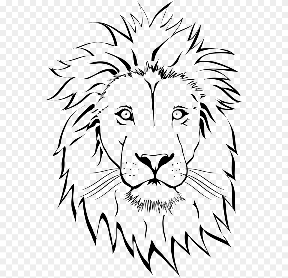 Lion Tattoo Image Download Searchpng Lion Face Line Drawing, Gray Png