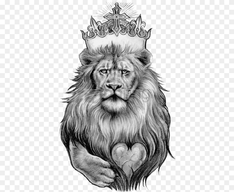Lion Tattoo Transparent Images All Lion With Crown Tattoo Designs, Art, Drawing, Animal, Mammal Png Image