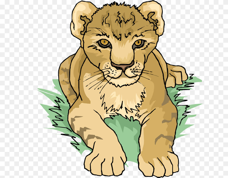 Lion Tiger Cougar Clip Art, Animal, Mammal, Wildlife, Baby Free Transparent Png