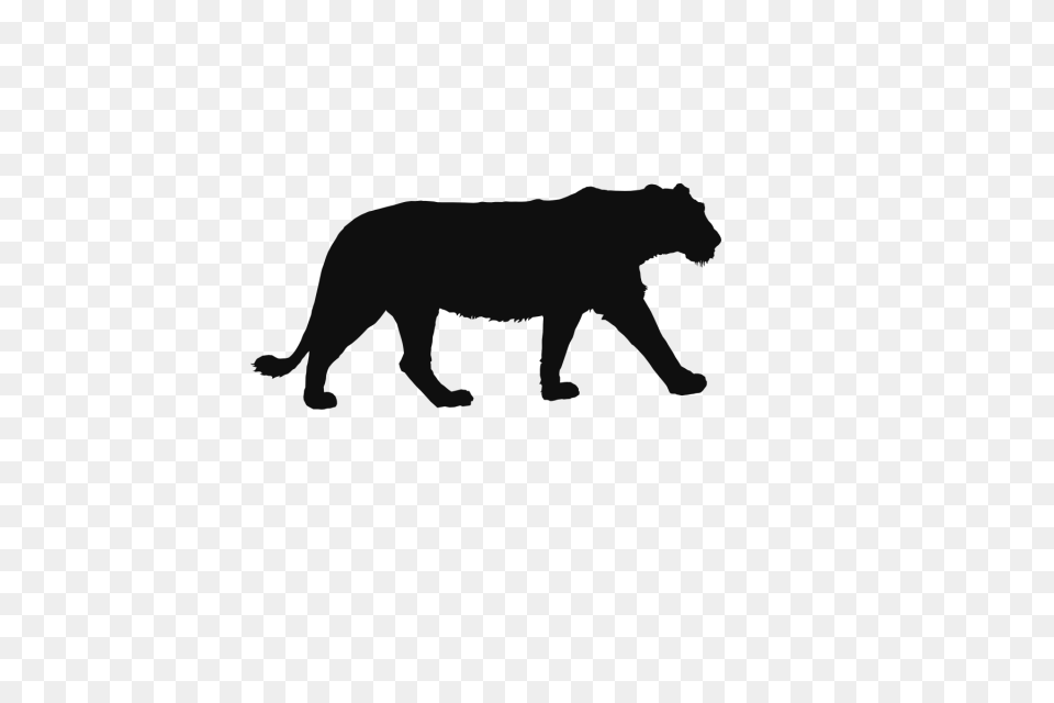 Lion Tiger Wild Animals Background Lion Paper Cutting Black, Animal, Bear, Mammal, Silhouette Free Png Download