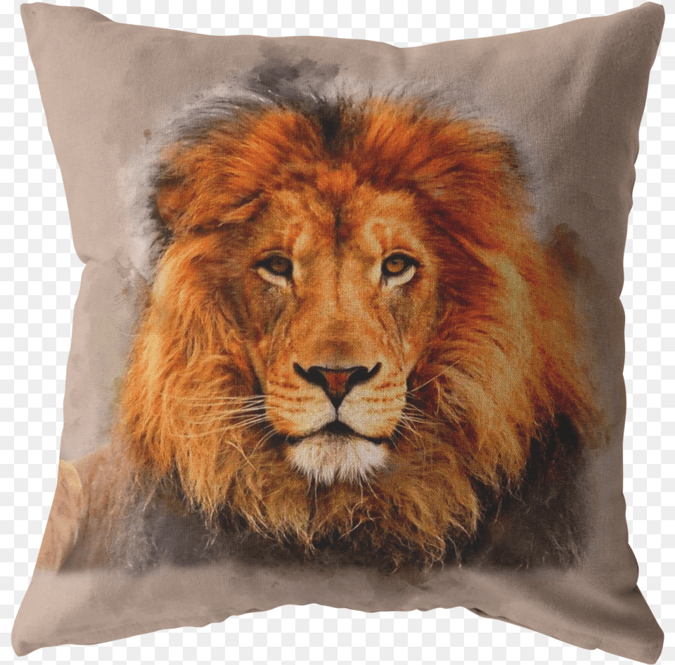 Lion Watch Pillows Jolie Lion, Animal, Cushion, Home Decor, Mammal Png Image