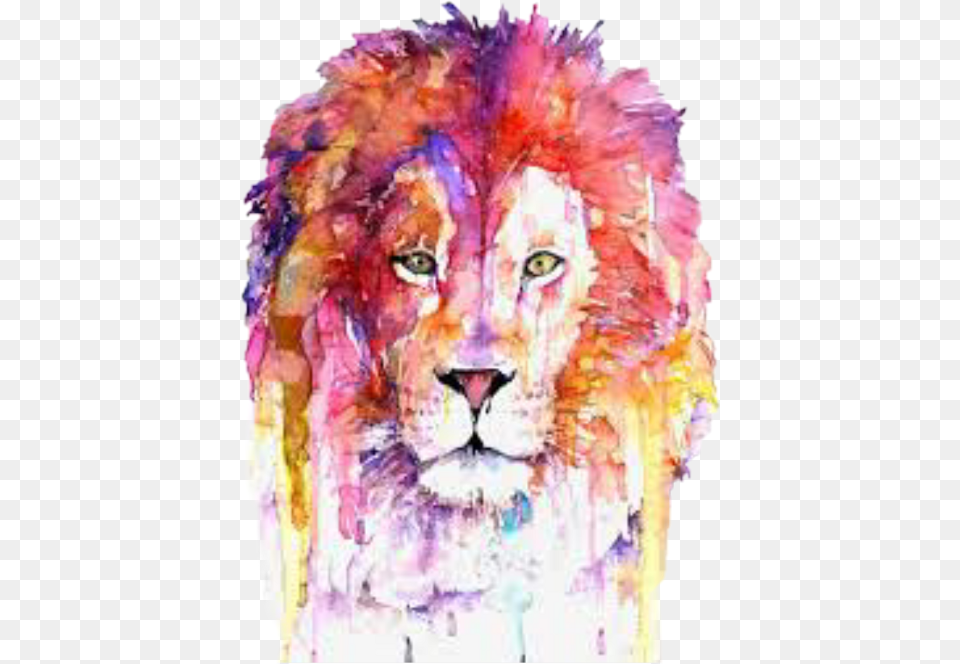 Lion Watercolor Painting, Animal, Wildlife, Mammal, Adult Png Image