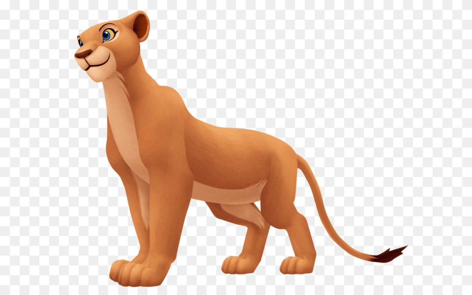 Lioness, Animal, Lion, Mammal, Wildlife Png