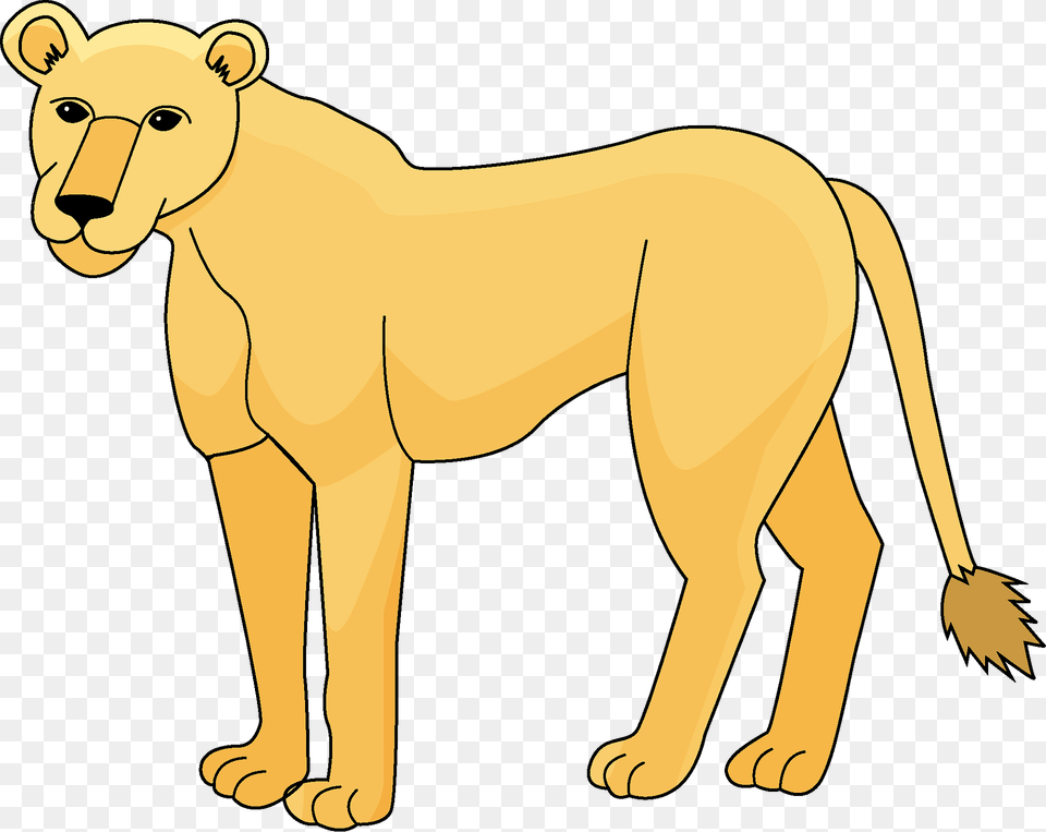 Lioness Clipart, Animal, Lion, Mammal, Wildlife Png