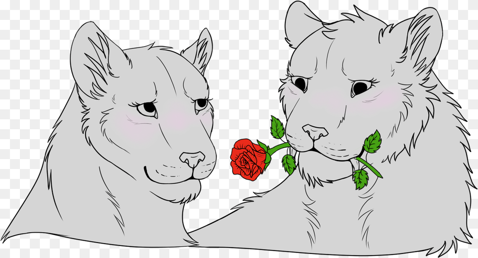 Lioness Couple Lineart, Baby, Person, Flower, Face Free Transparent Png
