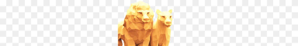 Lioness Designs On Dribbble, Art, Animal, Lion, Mammal Free Png