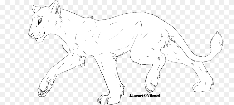 Lioness Lineart By Vilzard D40phkt Big Cat Lineart, Baby, Person, Art, Drawing Free Png Download