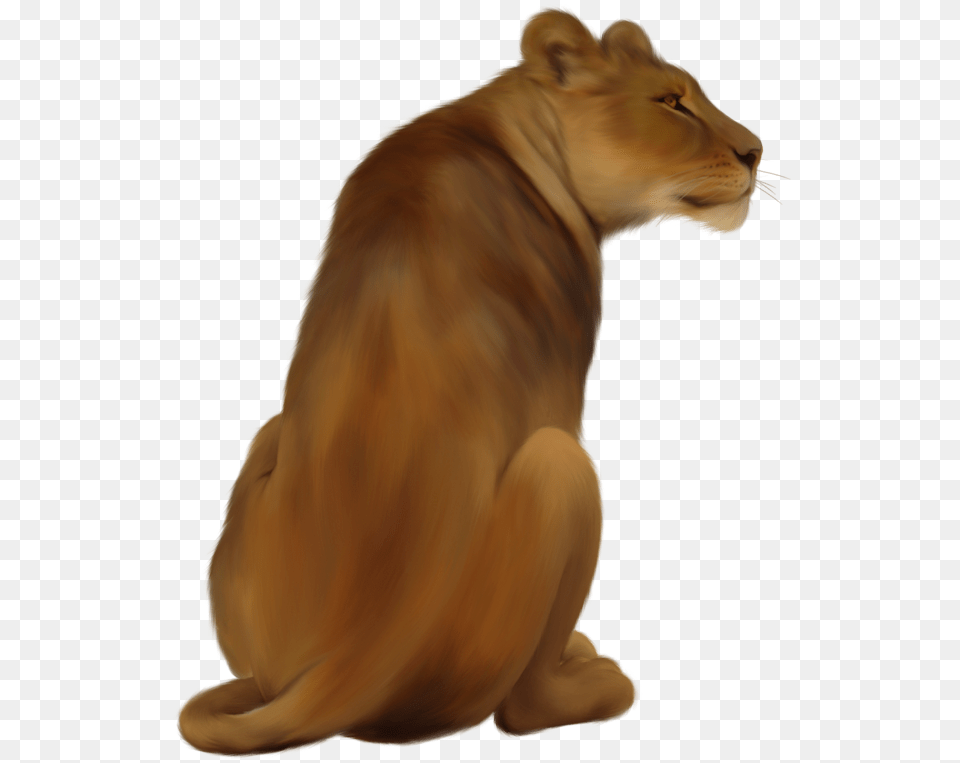 Lioness Pic Lioness, Animal, Lion, Mammal, Wildlife Free Png