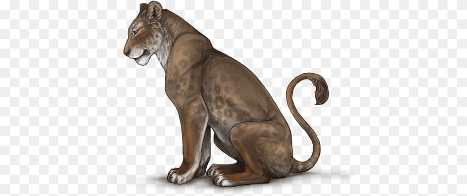 Lioness V Cougar, Animal, Lion, Mammal, Wildlife Free Png Download