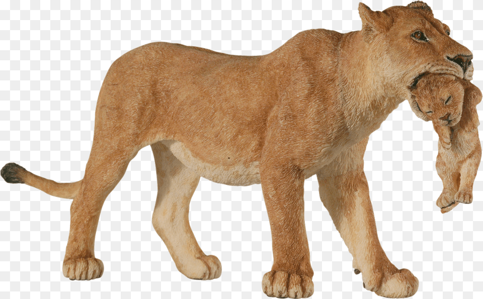 Lioness W V Schleich Lioness, Animal, Lion, Mammal, Wildlife Png