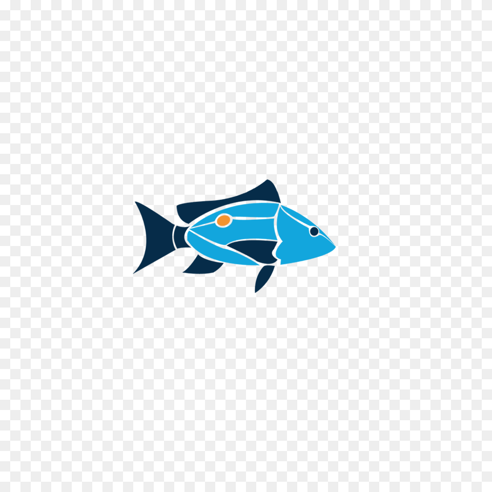 Lionfish Cape Eleuthera Institute, Animal, Fish, Sea Life Free Transparent Png