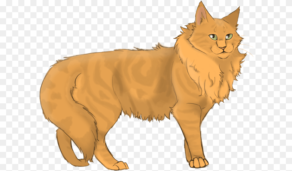 Lionheart Warrior Cat Orange Cats, Animal, Mammal, Manx, Pet Png