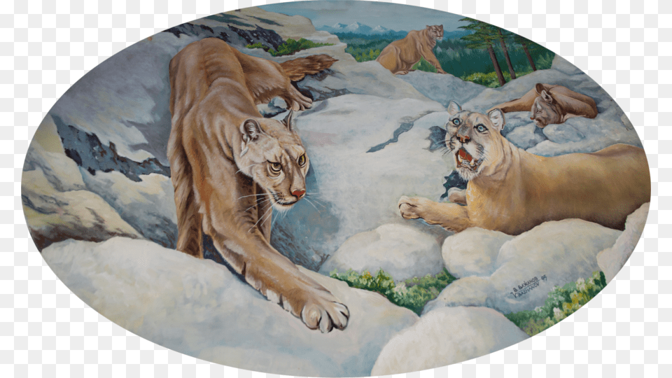 Lions Adopt Detroit Lions, Animal, Mammal, Tiger, Wildlife Free Transparent Png