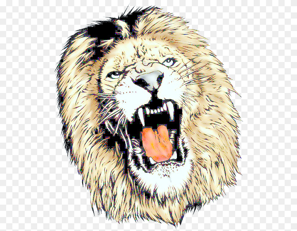 Lions Head, Animal, Lion, Mammal, Wildlife Free Transparent Png