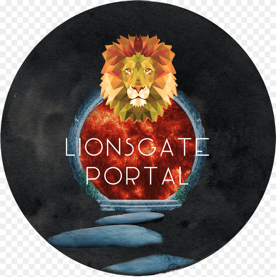 Lionsgate Portal August T Shirt, Lion, Animal, Wildlife, Mammal Free Png