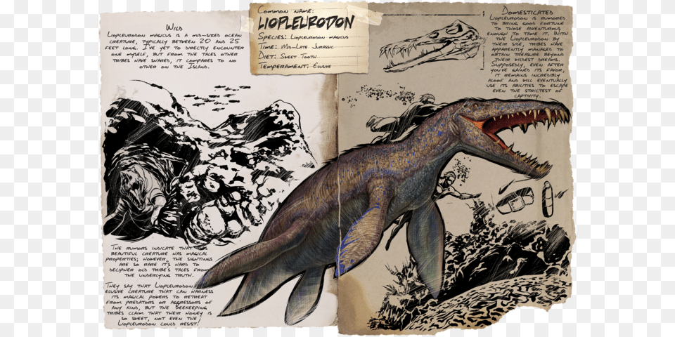 Liopleurodon Ark, Animal, Dinosaur, Reptile, Adult Free Png Download