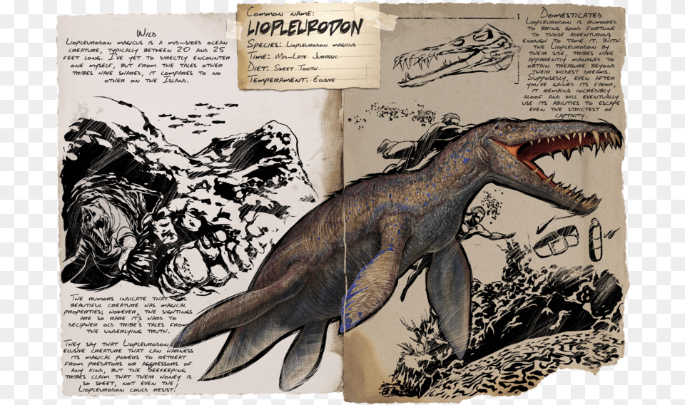 Liopleurodon Ark, Animal, Dinosaur, Reptile, Adult Free Png