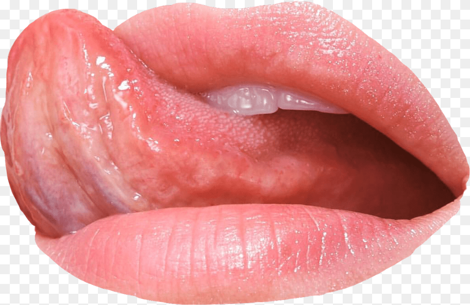 Lips Lick Mouth Teeth Khrystyana Licker Tongue Licking Lips, Body Part, Person, Flower, Plant Free Transparent Png