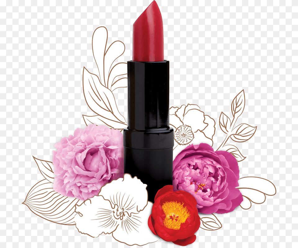 Lipstick 11 Scarlet Blaze Lipstick, Cosmetics, Flower, Plant, Rose Png