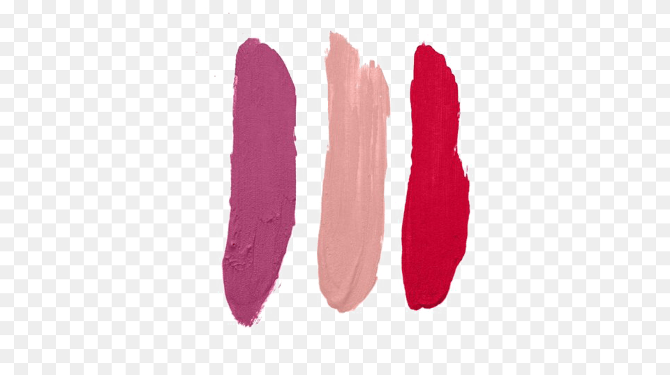 Lipstick Shades Kylie Cosmetics Swatches, Flower, Petal, Plant, Home Decor Free Transparent Png