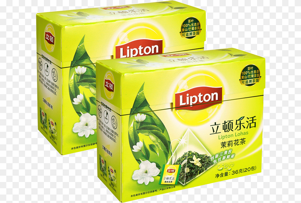 Lipton, Beverage, Green Tea, Tea, Box Png