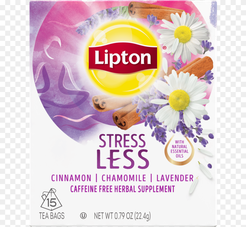 Lipton Bedtime Bliss, Advertisement, Daisy, Flower, Plant Free Png Download
