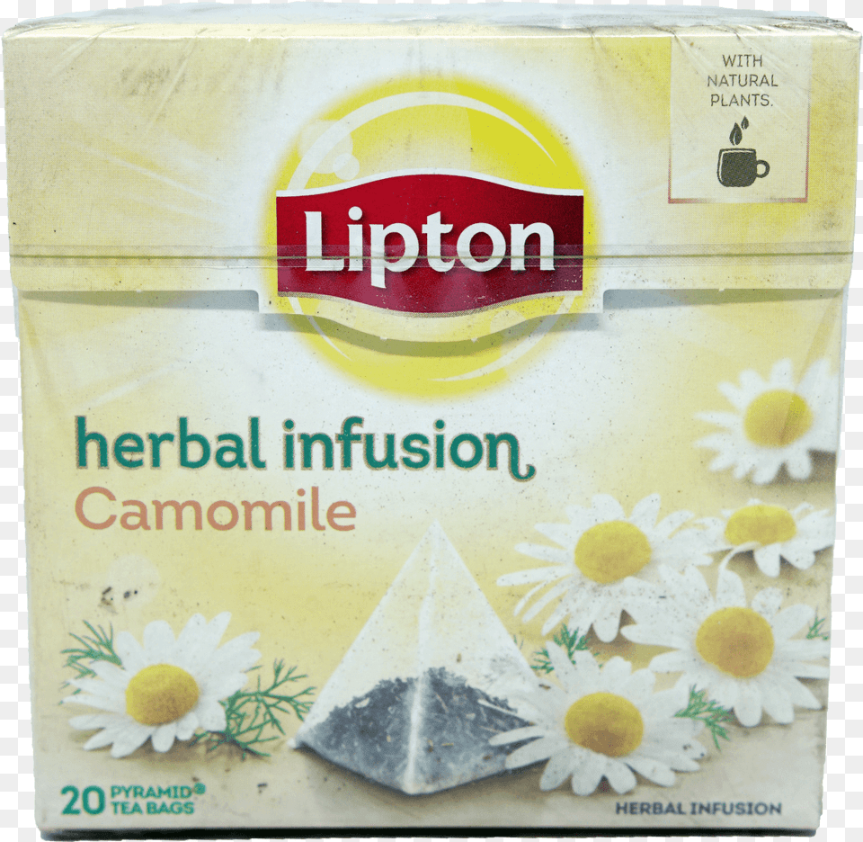 Lipton Tea In Groceries Lipton Rosehip Tea, Daisy, Flower, Plant, Herbal Png Image