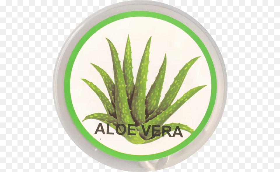 Liquid Wax Aloevera 1000g Agave, Aloe, Plant, Plate Png