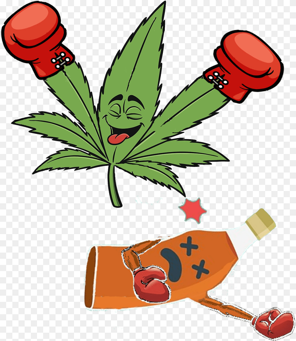 Liquor Clipart Alcahol Cannabis Clipart, Leaf, Plant, Baby, Person Free Transparent Png