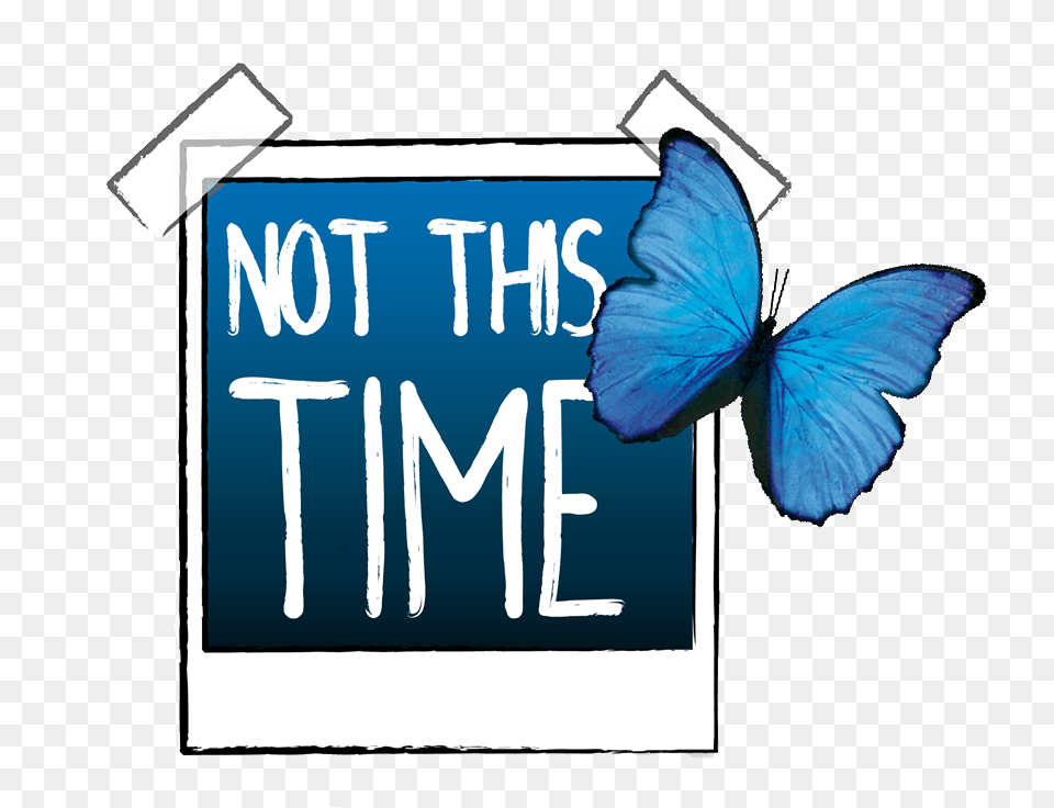 Lis, Text, Animal Free Png Download
