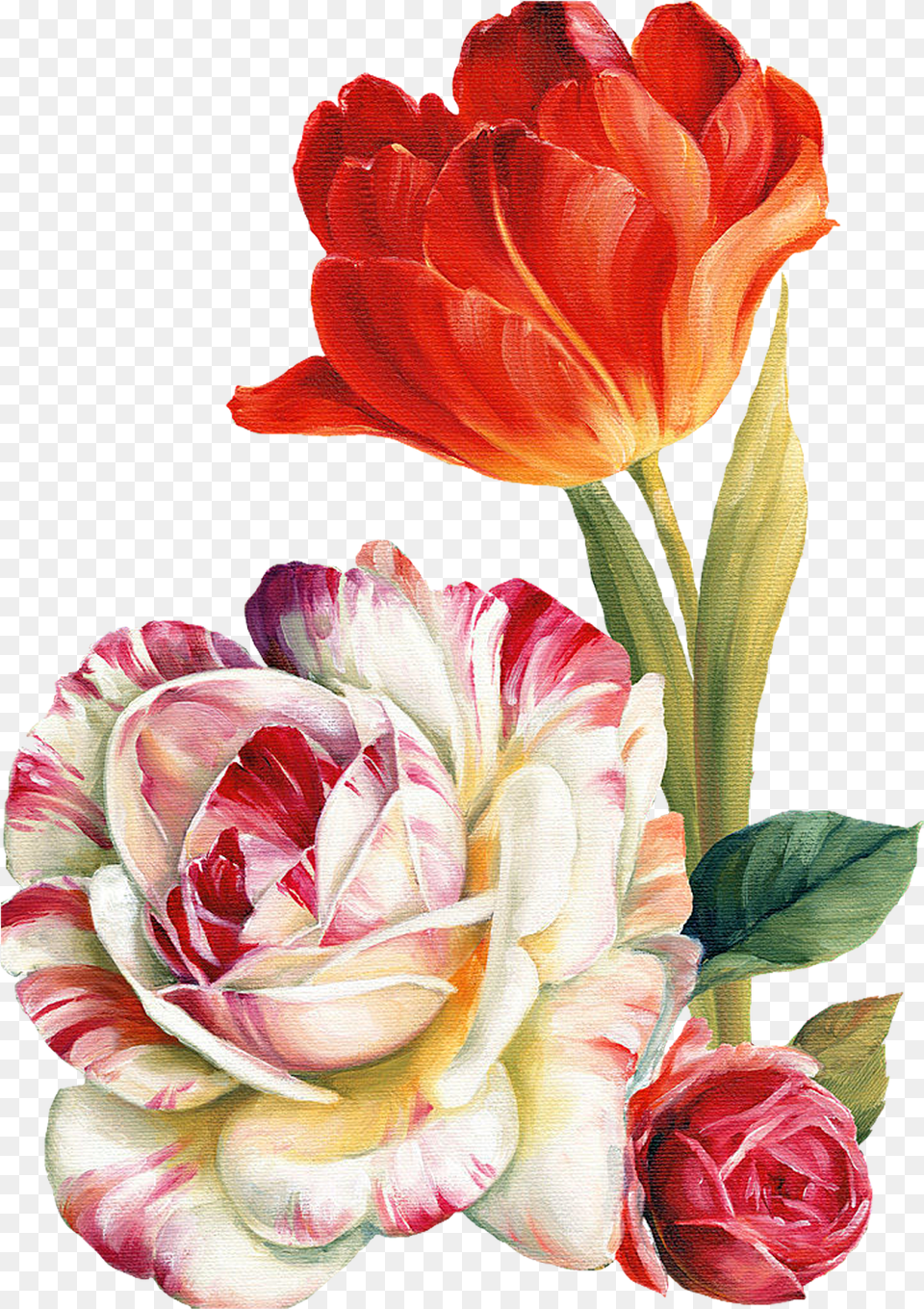 Lis Audit Transparent Flower Painting, Flower Arrangement, Plant, Rose, Flower Bouquet Png Image