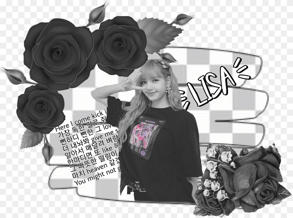 Lisa Blackpink Cute Aesthetic Kill This Love Lisa, Art, Rose, Portrait, Plant Png Image