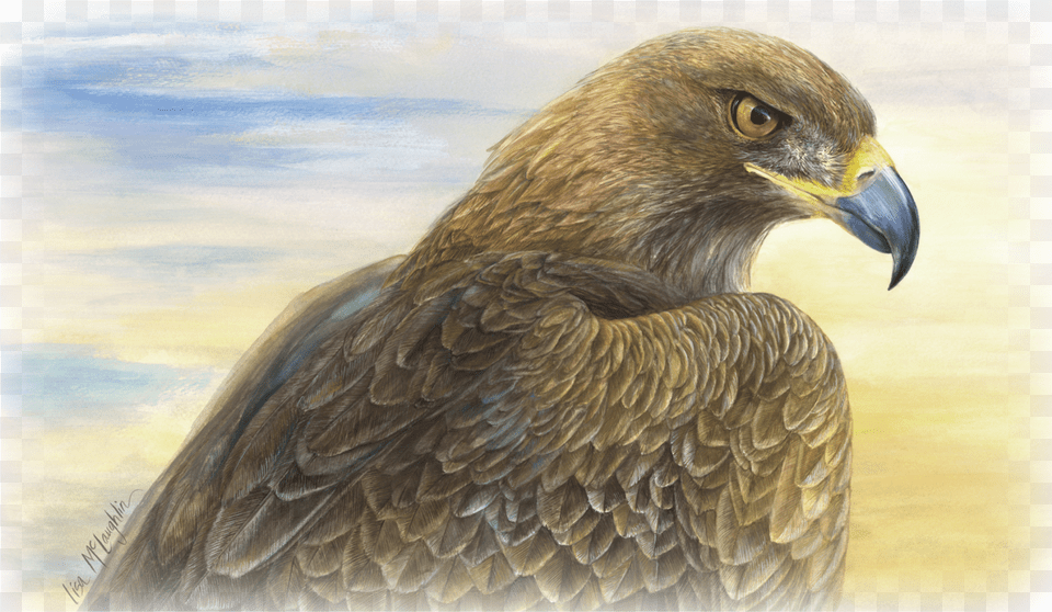Lisa Mclaughlin39s Detailed Wildlife Watercolors Desert Golden Eagle Journal, Animal, Beak, Bird, Buzzard Free Png