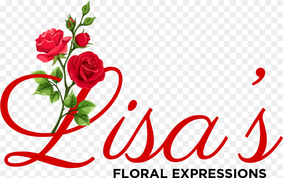 Lisa S Floral Expressions Hybrid Tea Rose, Flower, Plant, Petal Free Png