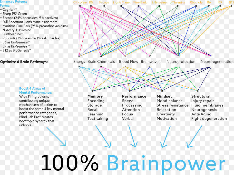 List Of Nootropics In Mind Lab Pro And How They Create Diagram, Light Png