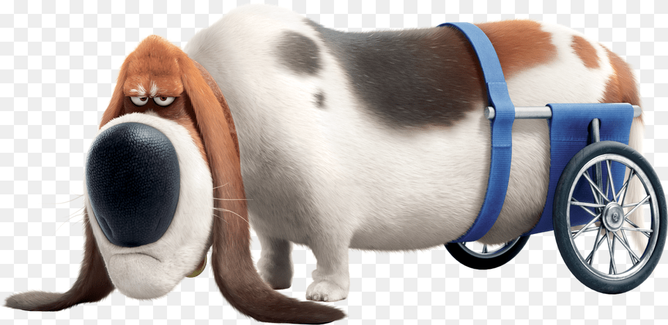 List Of Secret Life Of Pets Characters, Animal, Pet, Mammal, Hound Png Image