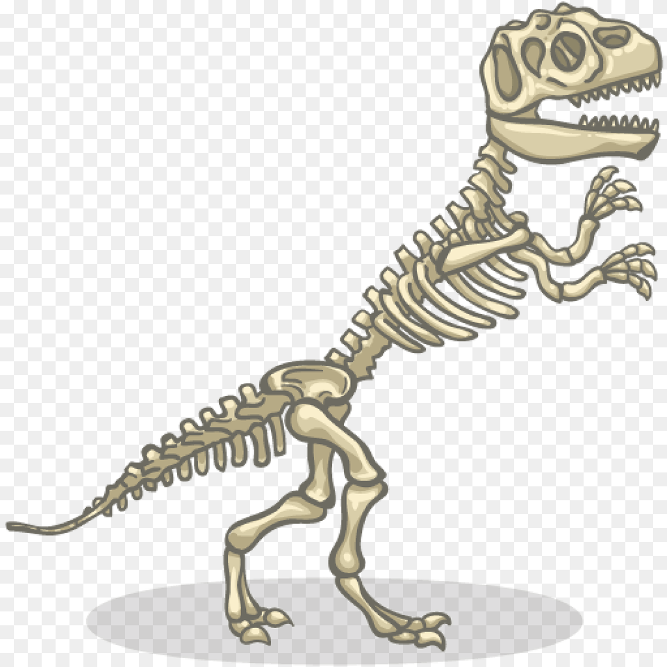 List Of Synonyms And Antonyms Of The Word Dino Skeleton, Animal, Dinosaur, Reptile, T-rex Free Png Download