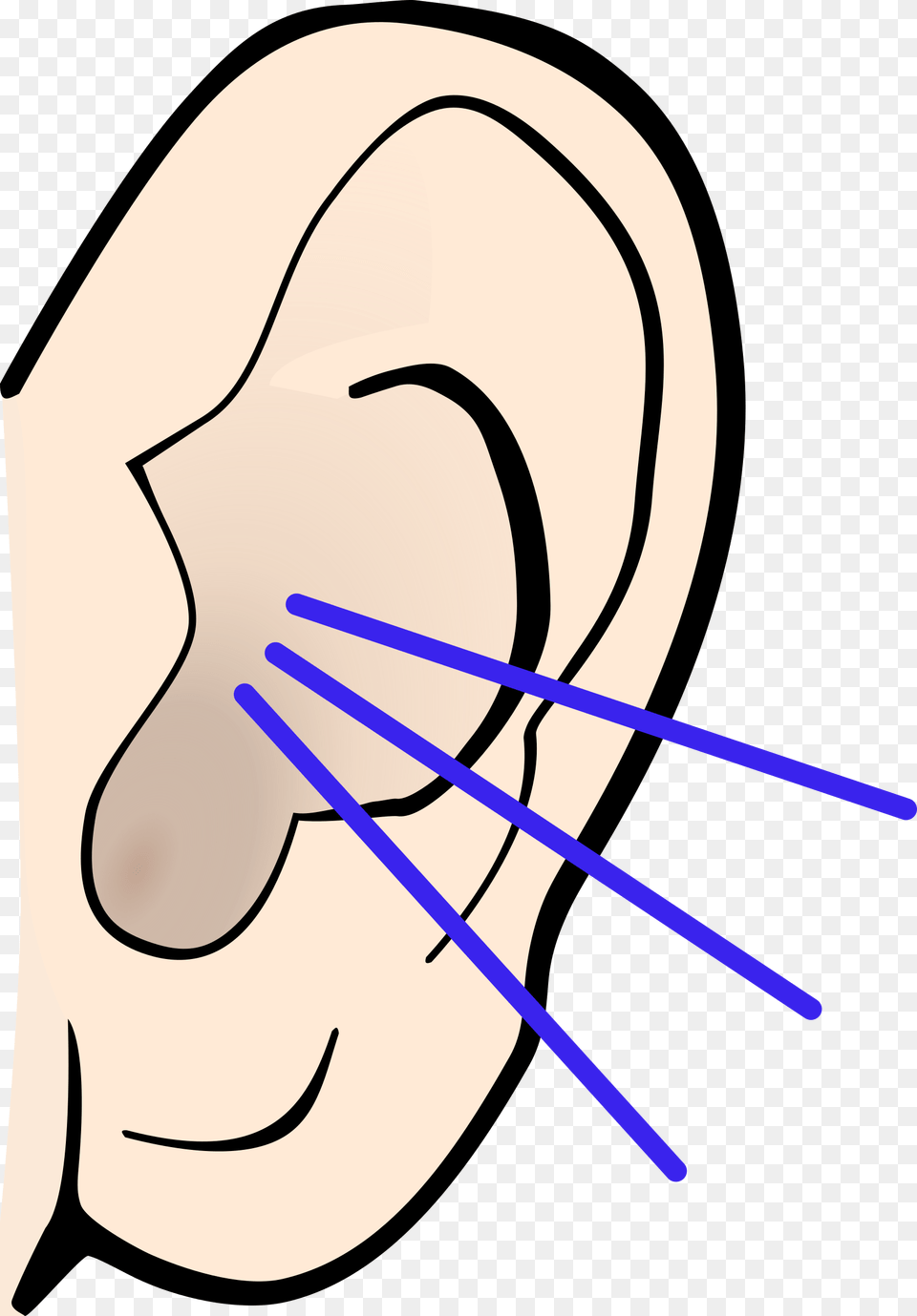 Listening Clipart Ear, Body Part, Bow, Weapon Free Png Download