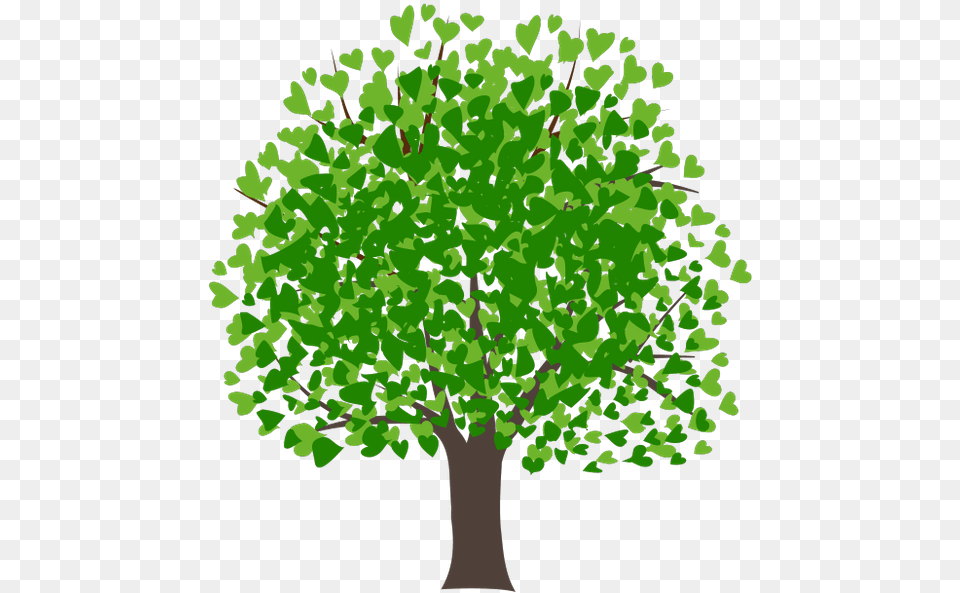 Listvennoe Derevo Zelenoe Rastenie Flora Derevo Mango Tree Clipart, Green, Oak, Plant, Sycamore Free Transparent Png
