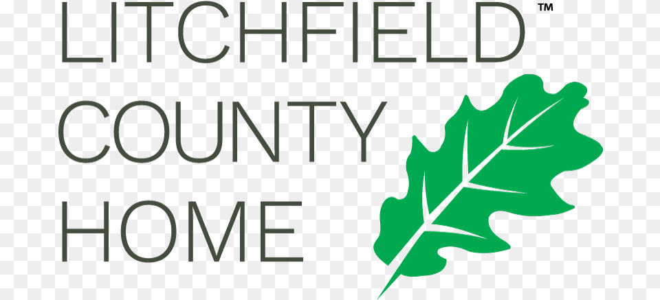 Litchfield County Home Amp Handyman Leaf, Plant, Tree, Person Free Png