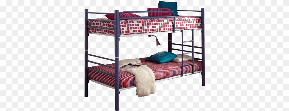Literas Metalicas De Color Azul, Bed, Bunk Bed, Furniture, Crib Free Png
