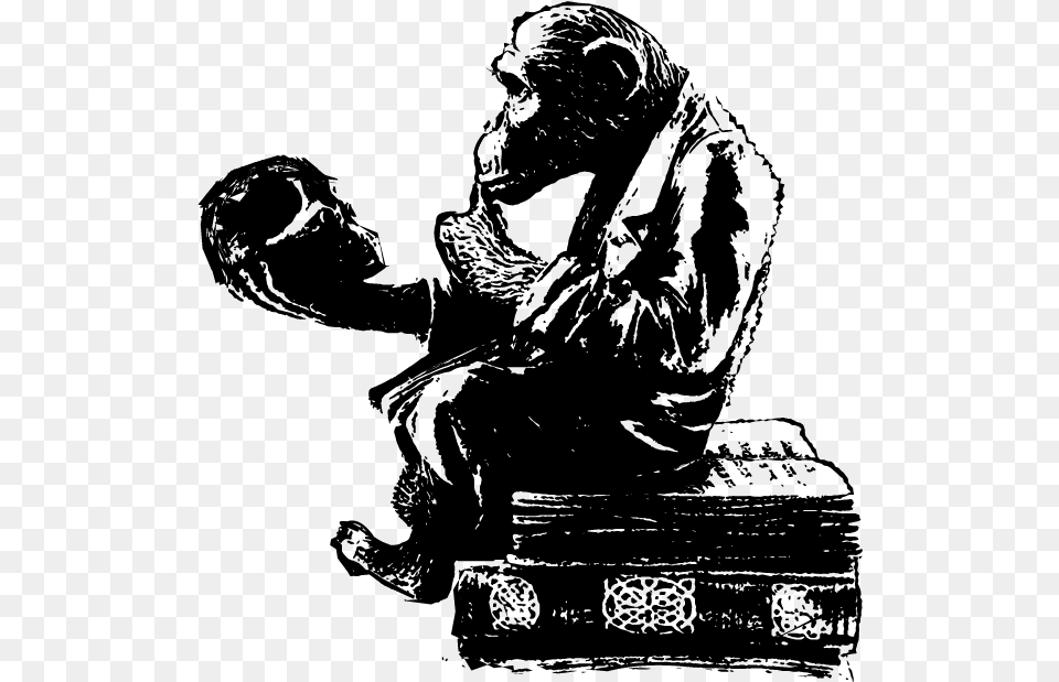 Literate Ape Icon Darwins Monkey Sitting On The Theory Of Evolution By, Gray Free Transparent Png