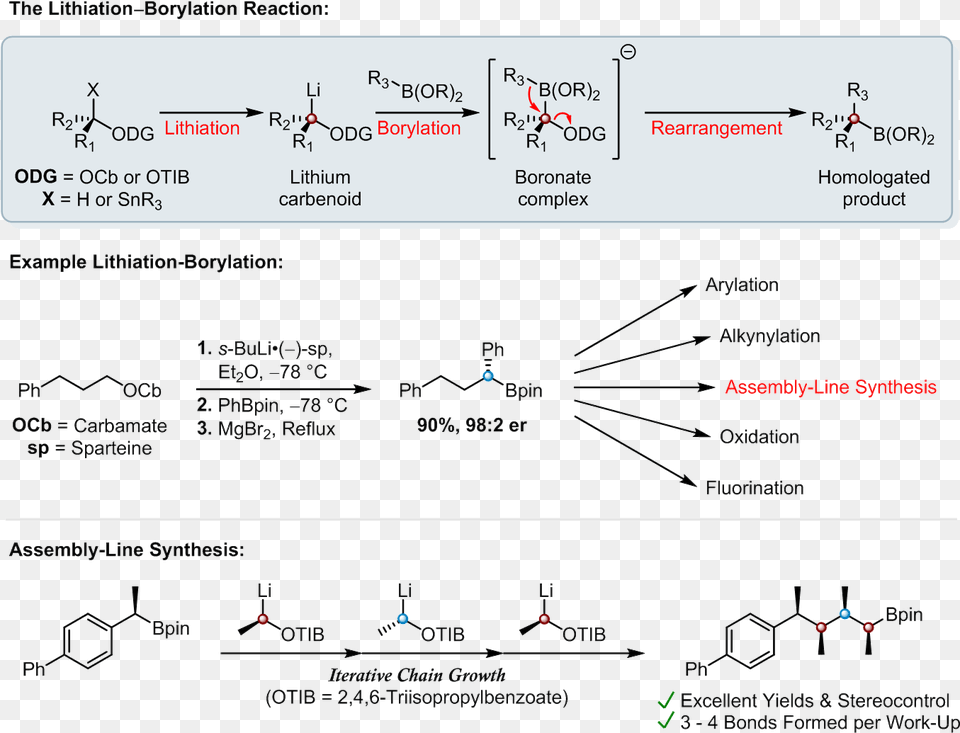 Lithiation Borylation And Assembly Line Synthesis Diagram, Text Free Png Download