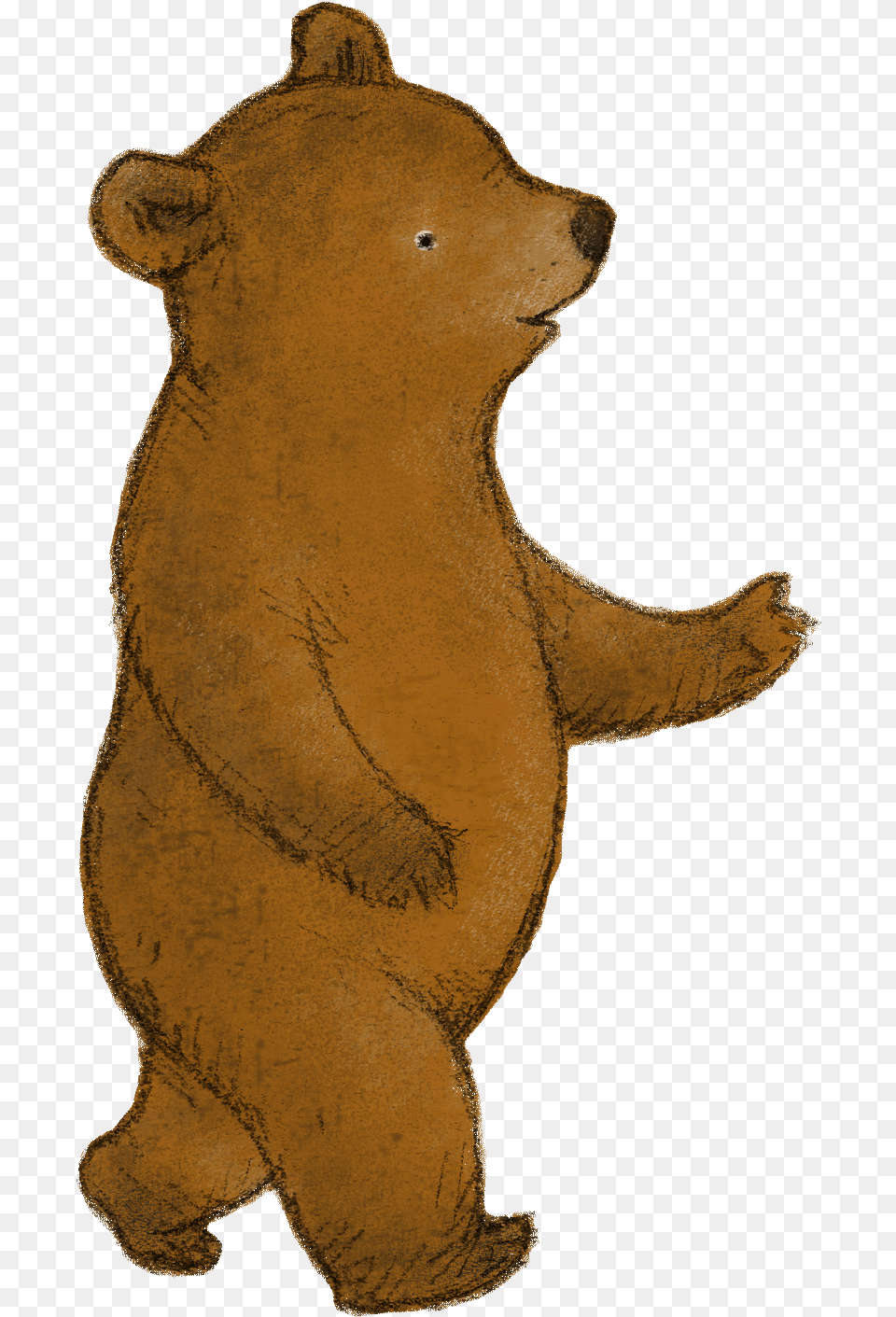 Little Bear Lost Teddy Bear, Animal, Brown Bear, Mammal, Wildlife Free Png Download