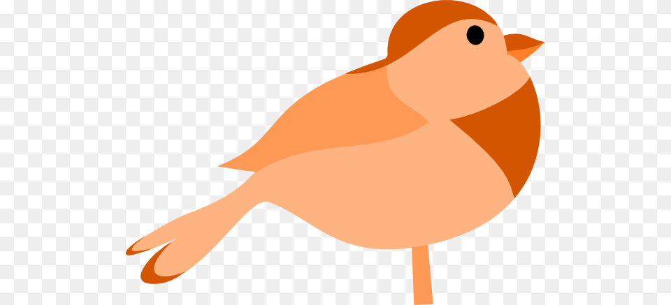 Little Bird Clip Art, Animal, Canary, Finch, Fish Png