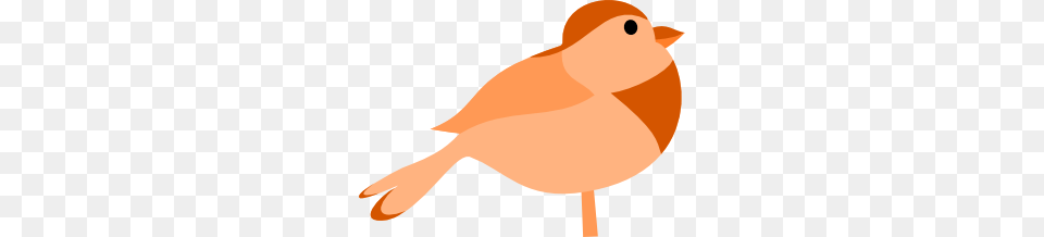 Little Bird Clip Art, Animal, Finch, Canary Free Png