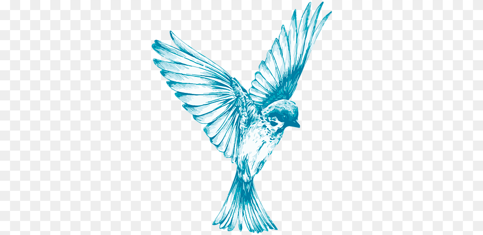 Little Bird Fly, Animal, Flying, Adult, Bride Free Png Download